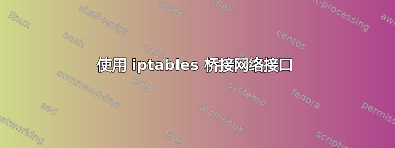 使用 iptables 桥接网络接口