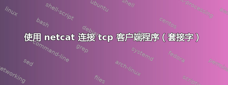 使用 netcat 连接 tcp 客户端程序（套接字）