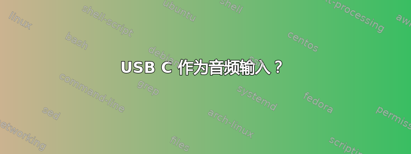 USB C 作为音频输入？