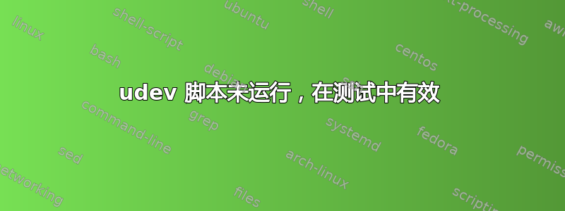 udev 脚本未运行，在测试中有效