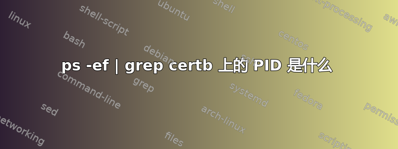 ps -ef | grep certb 上的 PID 是什么