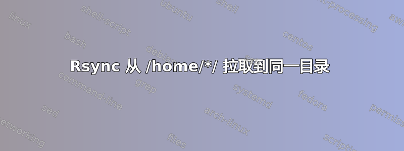 Rsync 从 /home/*/ 拉取到同一目录