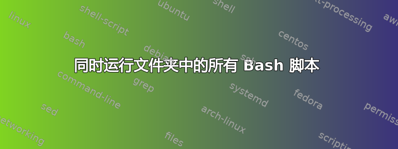 同时运行文件夹中的所有 Bash 脚本