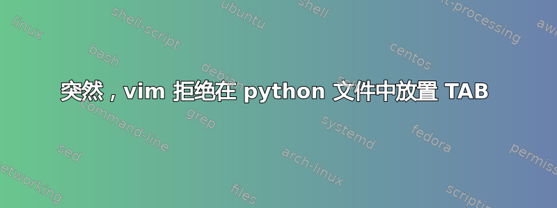 突然，vim 拒绝在 python 文件中放置 TAB