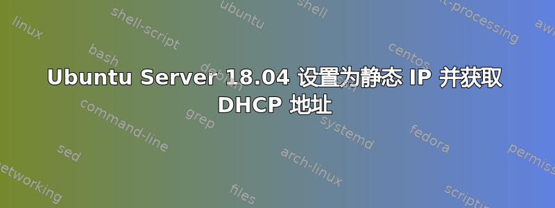 Ubuntu Server 18.04 设置为静态 IP 并获取 DHCP 地址