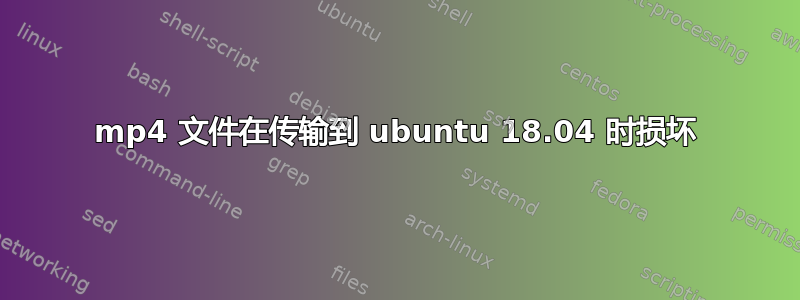 mp4 文件在传输到 ubuntu 18.04 时损坏