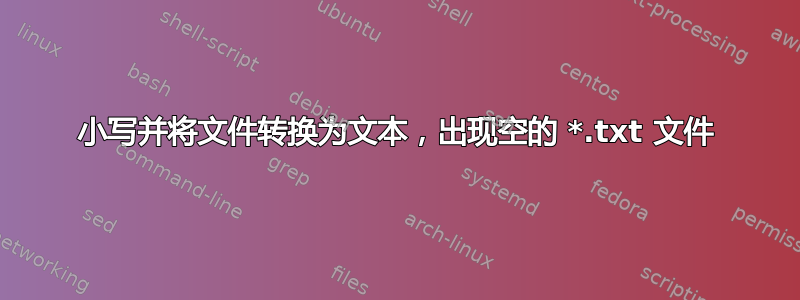 小写并将文件转换为文本，出现空的 *.txt 文件