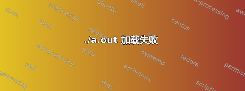 ./a.out 加载失败