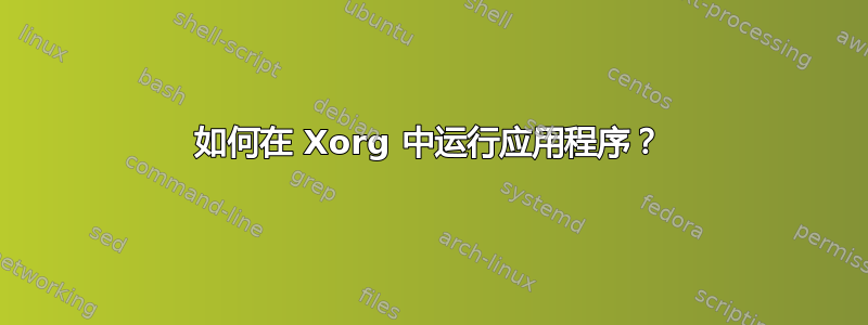 如何在 Xorg 中运行应用程序？