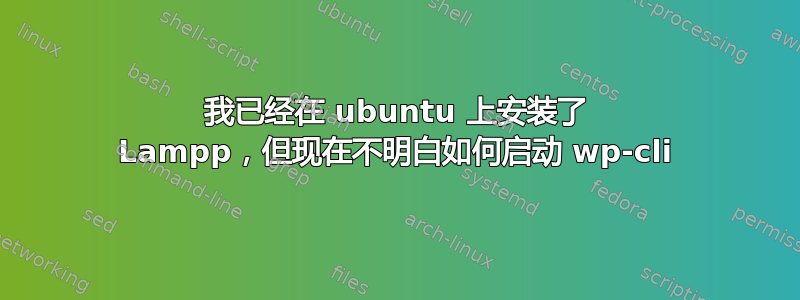 我已经在 ubuntu 上安装了 Lampp，但现在不明白如何启动 wp-cli