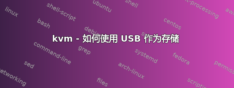 kvm - 如何使用 USB 作为存储