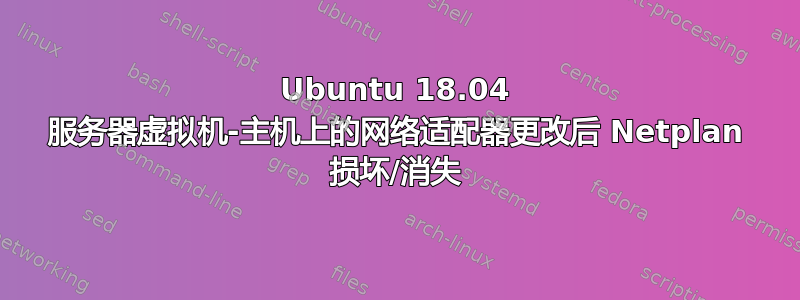 Ubuntu 18.04 服务器虚拟机-主机上的网络适配器更改后 Netplan 损坏/消失