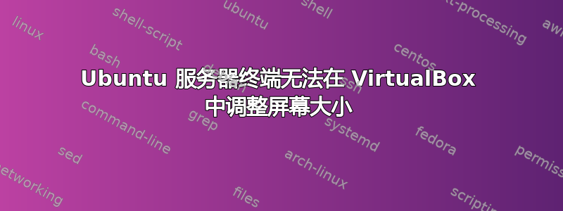 Ubuntu 服务器终端无法在 VirtualBox 中调整屏幕大小