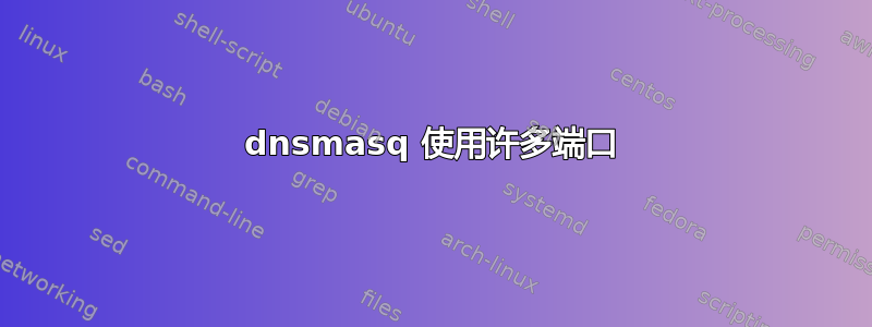 dnsmasq 使用许多端口