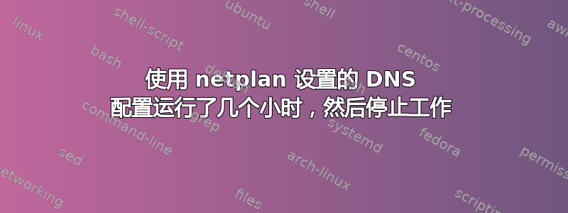 使用 netplan 设置的 DNS 配置运行了几个小时，然后停止工作