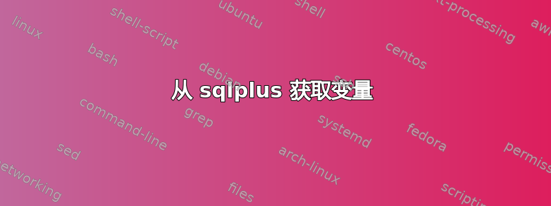 从 sqlplus 获取变量