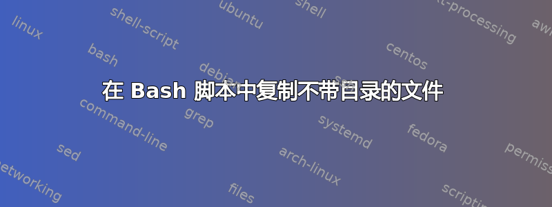 在 Bash 脚本中复制不带目录的文件