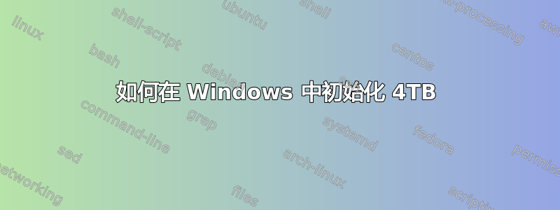 如何在 Windows 中初始化 4TB