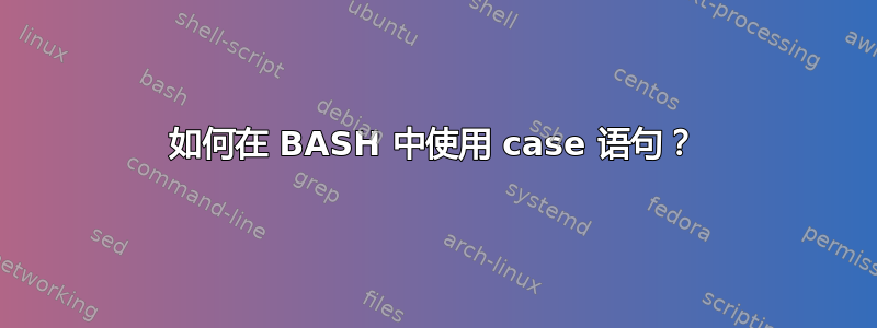 如何在 BASH 中使用 case 语句？