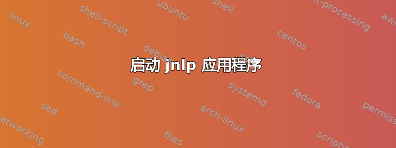 启动 jnlp 应用程序