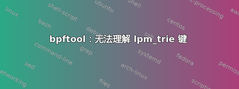 bpftool：无法理解 lpm_trie 键