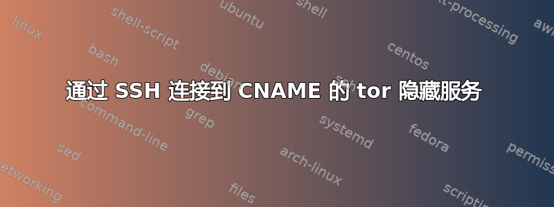 通过 SSH 连接到 CNAME 的 tor 隐藏服务