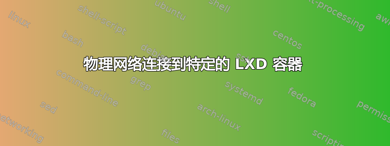 物理网络连接到特定的 LXD 容器