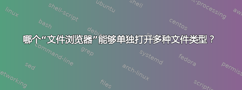 哪个“文件浏览器”能够单独打开多种文件类型？