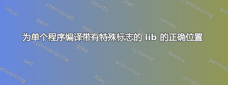 为单个程序编译带有特殊标志的 lib 的正确位置