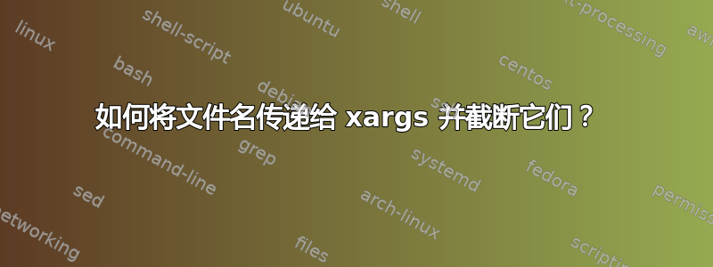 如何将文件名传递给 xargs 并截断它们？ 