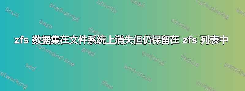 zfs 数据集在文件系统上消失但仍保留在 zfs 列表中