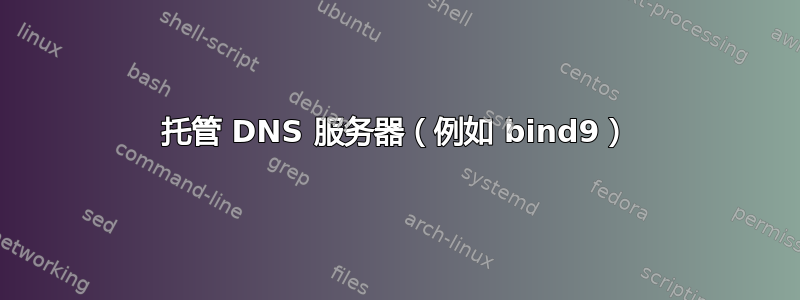 托管 DNS 服务器（例如 bind9）