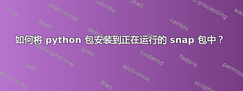 如何将 python 包安装到正在运行的 snap 包中？