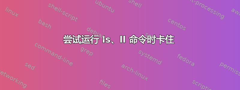 尝试运行 ls、ll 命令时卡住