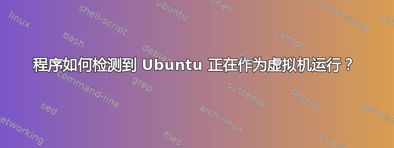 程序如何检测到 Ubuntu 正在作为虚拟机运行？