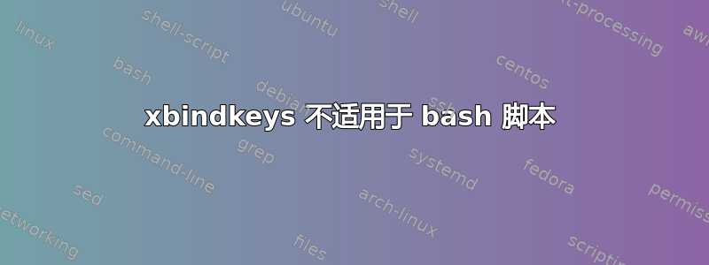 xbindkeys 不适用于 bash 脚本