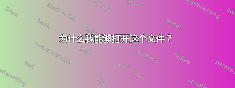 为什么我能够打开这个文件？