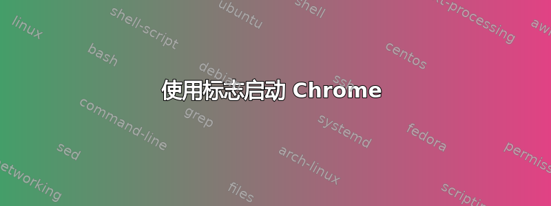 使用标志启动 Chrome