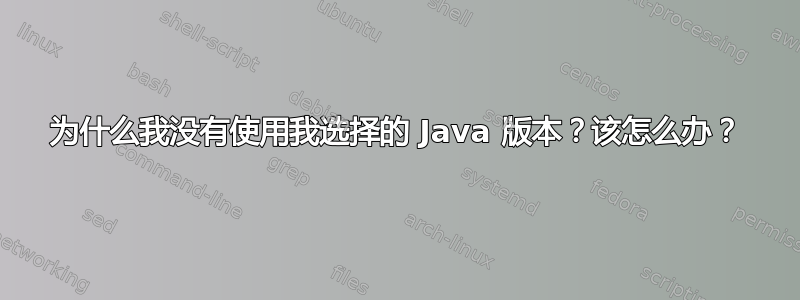 为什么我没有使用我选择的 Java 版本？该怎么办？