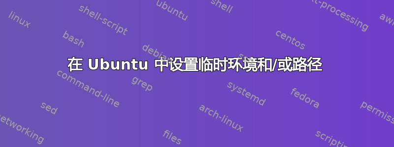 在 Ubuntu 中设置临时环境和/或路径