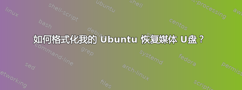 如何格式化我的 Ubuntu 恢复媒体 U盘？