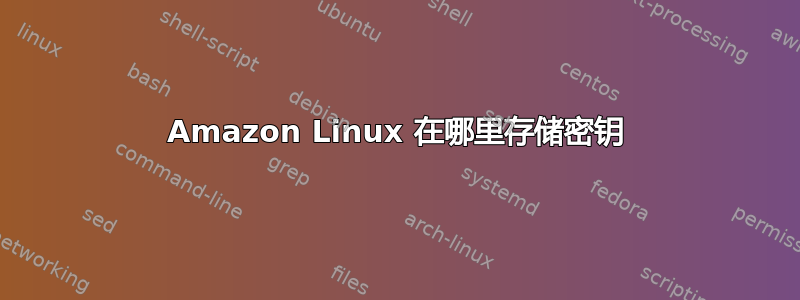 Amazon Linux 在哪里存储密钥