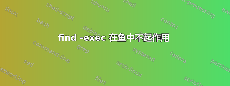 find -exec 在鱼中不起作用