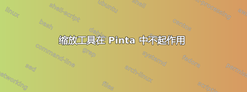 缩放工具在 Pinta 中不起作用