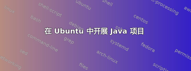 在 Ubuntu 中开展 Java 项目