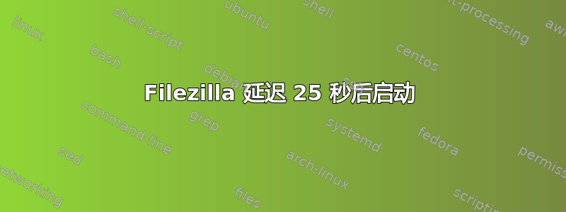 Filezilla 延迟 25 秒后启动