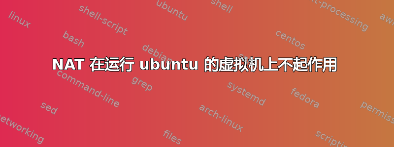 NAT 在运行 ubuntu 的虚拟机上不起作用