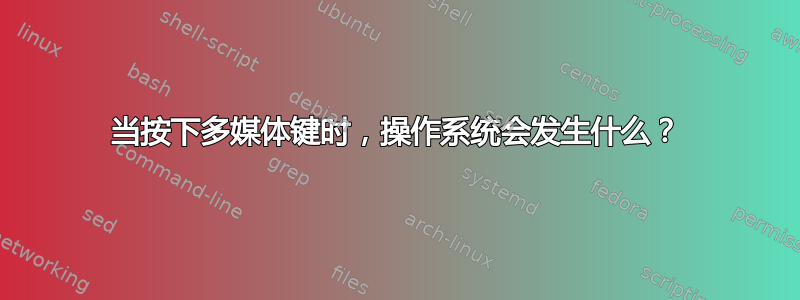 当按下多媒体键时，操作系统会发生什么？