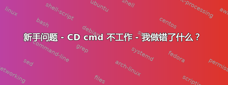 新手问题 - CD cmd 不工作 - 我做错了什么？