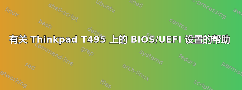 有关 Thinkpad T495 上的 BIOS/UEFI 设置的帮助